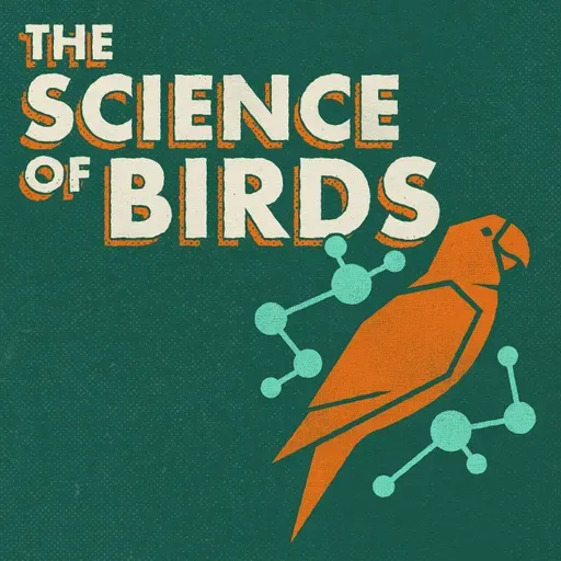Cooperative Breeding in Birds