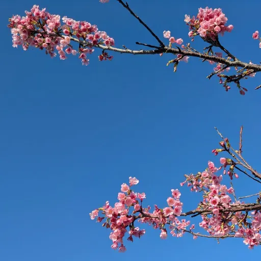 2026/02/13【3分間トーク】散策っていいね。 from Radiotalk