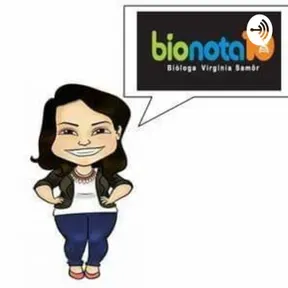 Blog Bio Nota 10