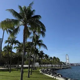 IPUL North Lauderdale Mensaje Diario 
