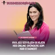 Hva jeg ser igjen og igjen hos online gründere som har stagnert
