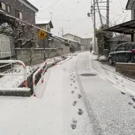 朝ラン-1℃。完全な民主政と完全な独裁政と爆笑問題の健筆と好きな女性タレントベストテン⑦。#1703 from Radiotalk