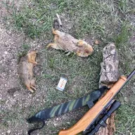 Top Varmint Cartridges - a Recast