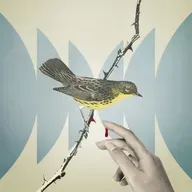 Weighing Good Intentions