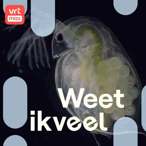 Watervlooien