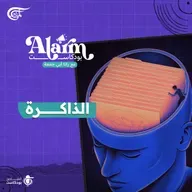 الذاكرة