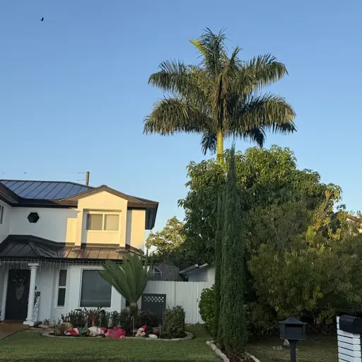 ENSÉÑALE A PESCAR (E1980).