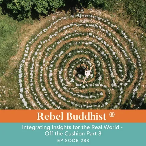 Integrating Insights for the Real World - Off the Cushion Part 8