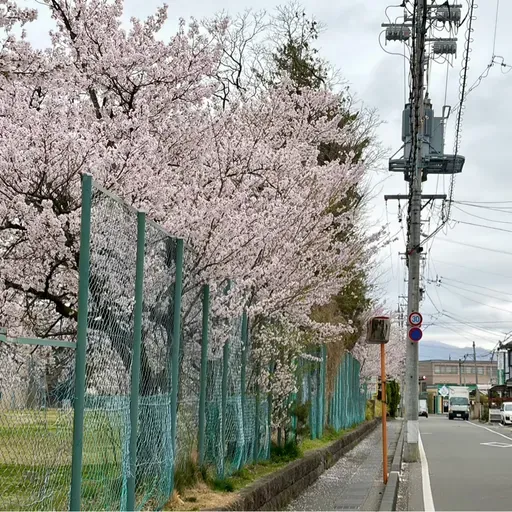 昼ラン10℃。用事があるのに寝坊で走れなかった朝の分の昼ランとボンドロと朝ドラ新ヒロイン。#1823 from Radiotalk