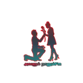 avalum nanumfm