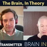 BI 235 Romain Brette: The Brain, in Theory