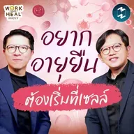 ความลับชะลอวัย กลไกยืดอายุ หมออั๋น The Longevist #WorkSmartHealHarder | MM EP.2547