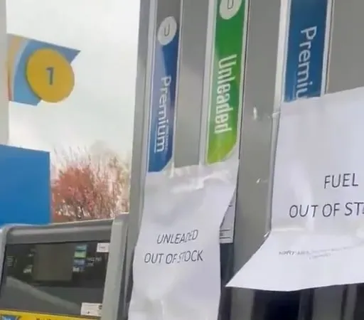 Micheál Ó Drisleáin, Orla Ní Luasa, Micheál Ó Céadagáin,  Tadhg Ó Céilleachair, Neasa Uí Mhoráin