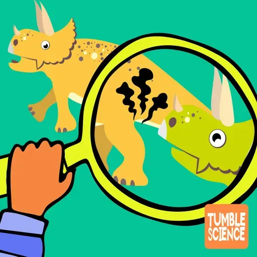 The Dino Butt Fossil