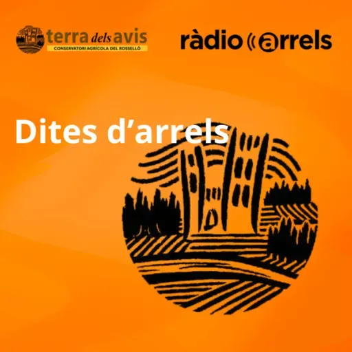 Dites d'Arrels - Canviar de moliner, però no de lladre