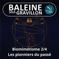 S07E37 Biomimétisme et bioinspiration 2/4 : Les pionniers du passé (Alain Renaudin)