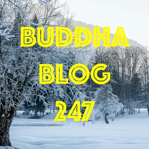 247-Anfang und Ende - Buddha Blog Podcast - Buddhismus im Alltag