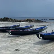 Collette Furey, ó Choiste Eagraithe An Tóstal