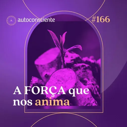 166. A Força que nos anima