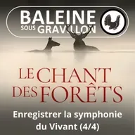 Le Chant des forêts 4/4 : Dédier sa vie à ÉCOUTER (Marc Namblard)