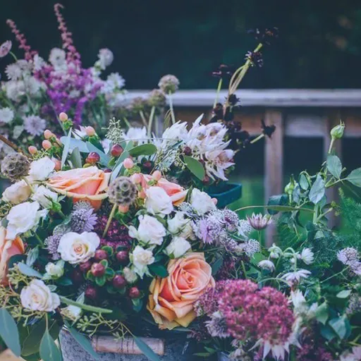 池莉:女人是服装的奴隶