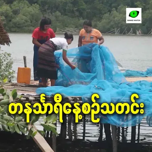 ဒီဇင်ဘာလ ၂၂ရက် တနင်္သာရီနေ့စဉ်သတင်း အစီအစဉ်