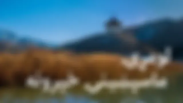 لومړۍ ماسپښینۍ خپرونه