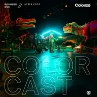 Colorcast Radio 253 with Little Foot