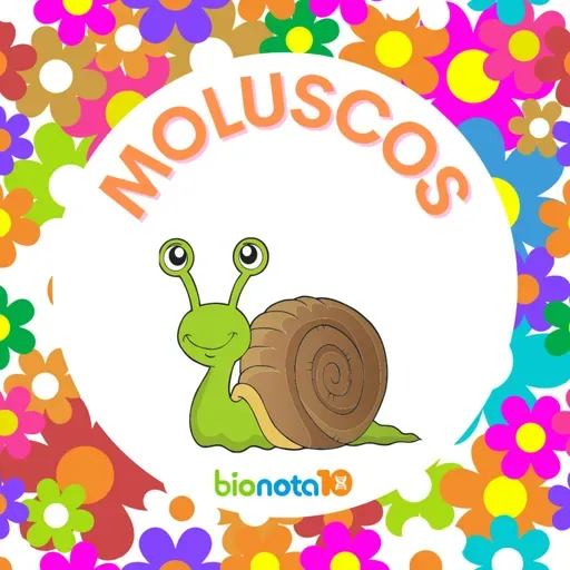 Moluscos