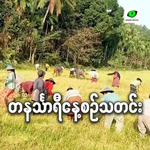 ဖေဖော်ဝါရီလ ၂၃ရက် တနင်္သာရီနေ့စဉ်သတင်း အစီအစဉ်