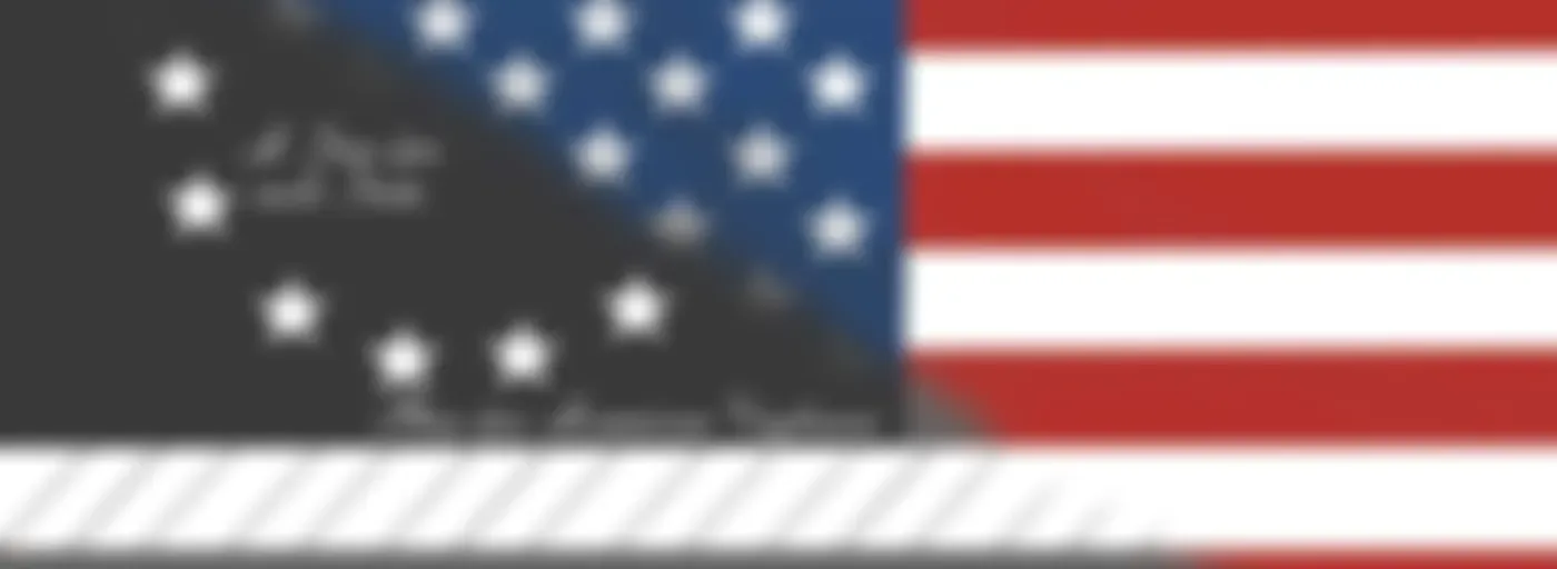 American Political History