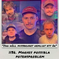 1136. DEL 1: Marves possibla potensproblem