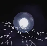 Svært at få børn i rummet? Sædceller bliver forvirrede uden tyngdekraft