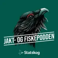 #311 Hørselsekspert: Dette er gode hørselvern!
