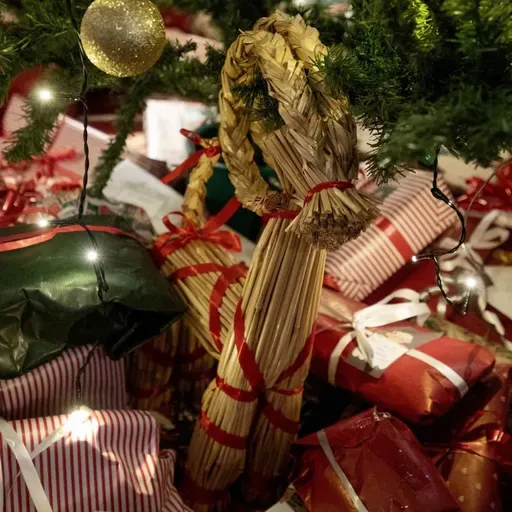 Torsdag 13 november 2025