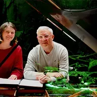 Miguel del Aguila: Torrential Raindance