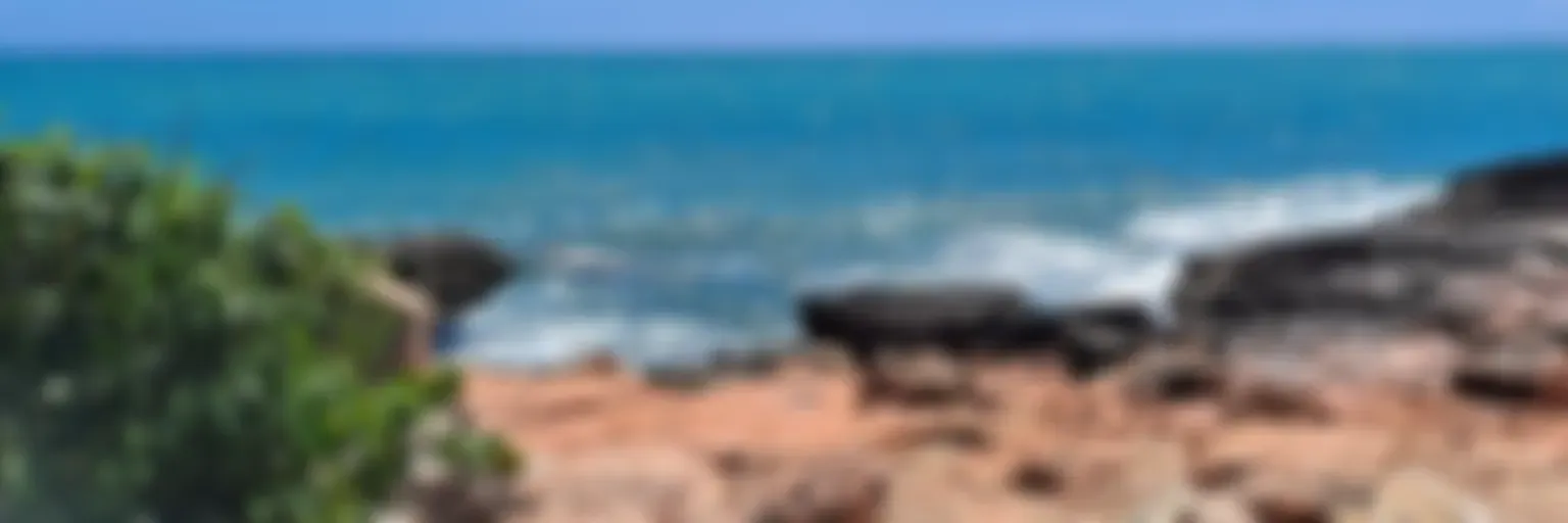 nuevas oportunidades