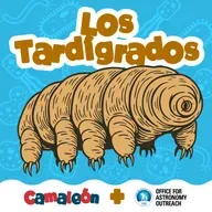 Tardígrados: los ositos del espacio