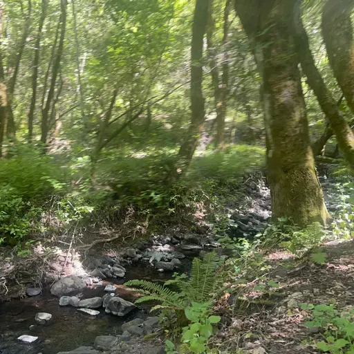 The story of my first self-initiation at 23