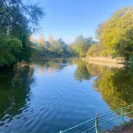 朝ラン11℃。ストルバイトを患って病院に行ってきた三男と大森元貴の母校と武蔵関公園と鵜。#1670 from Radiotalk