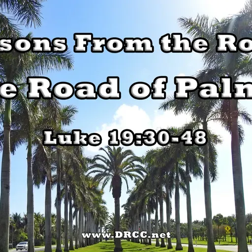 Lessons From the Road: The Road of PALMS! (Sermon Audio)