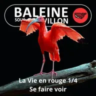 S07E47 La vie en... rouge 1/4 : Se faire (a)voir (Frédéric Archaux)