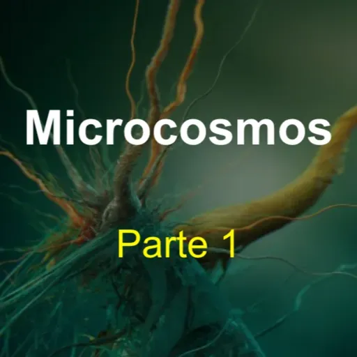 Microcosmos (parte 1) 