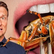 We Need to Eat Bugs & Insects to Save the Planet - Dr. Berg