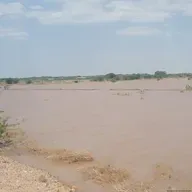 የታኅሣሥ 20 ቀን 2018 ዓም የዜና መጽሔት