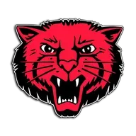 Week 13: Learning from Success and Aiming Higher