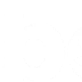 WBOR Instreamer