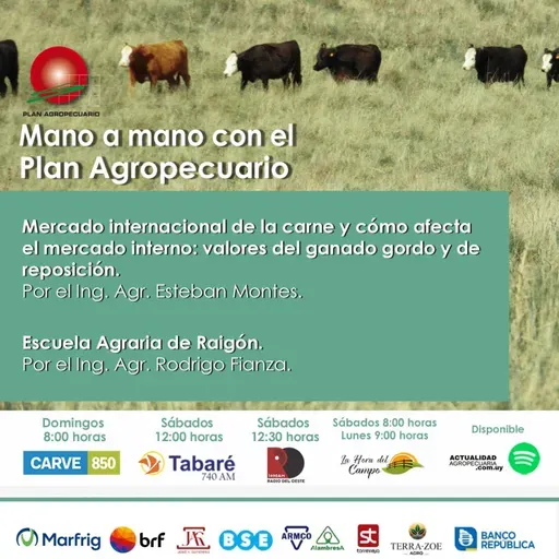 Mercado internacional de la carne . Escuela Agraria Raigón.