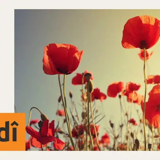 Werzîş û guhertinên şêwaza jiyanê alîkariya tendurûstiyeke baş dikin