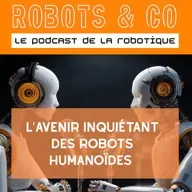 L’avenir inquiétant des robots humanoïdes